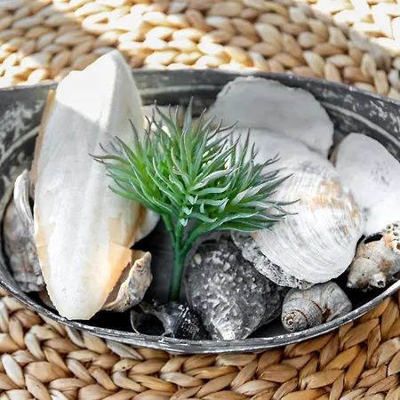 דירה Haus Sanderling Spinnaker16 *